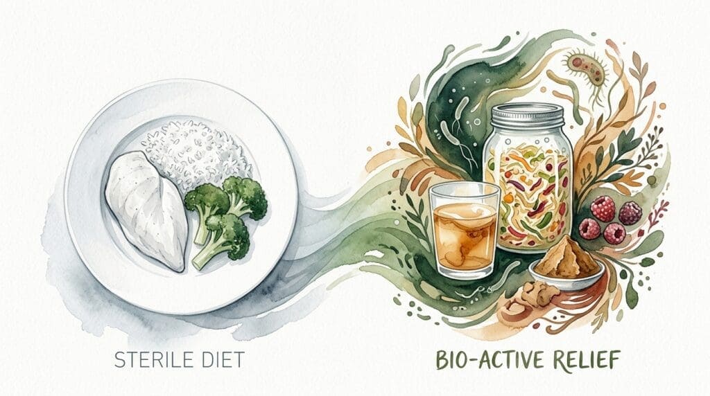 Natural Heartburn Fermentation Remedies